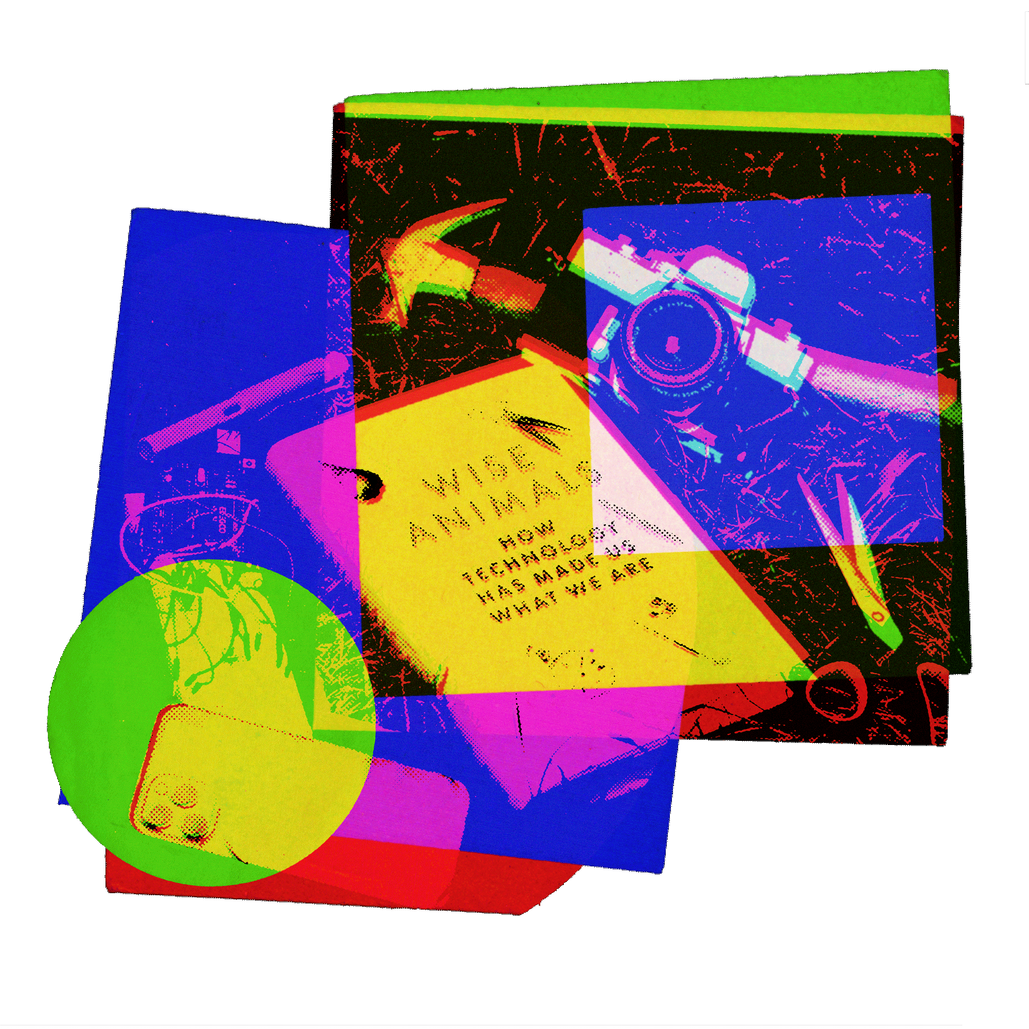 Wise Animals: how technology has made us what we are